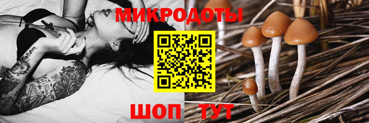 Псилоцибиновые грибы Magic Shrooms Сланцы